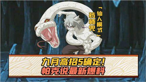 最新九月高招s爆料,最新爆料揭示高考改革动态与趋势”